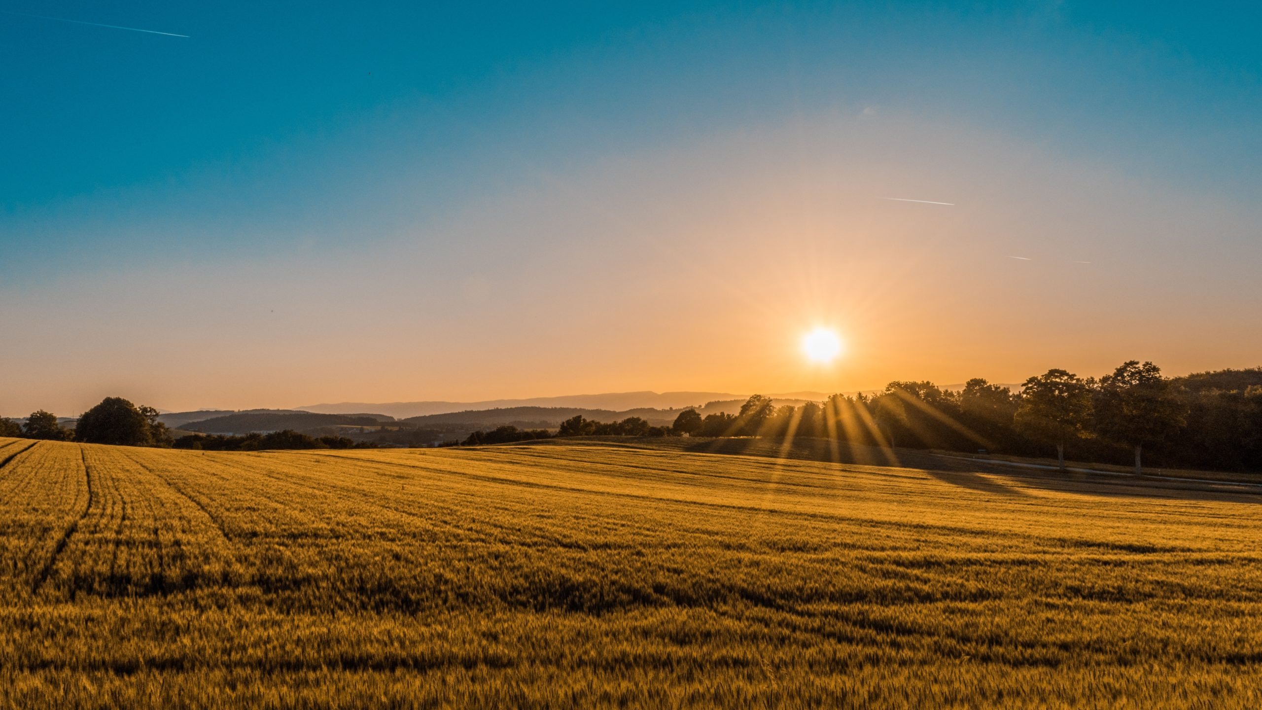 sun rise over a field